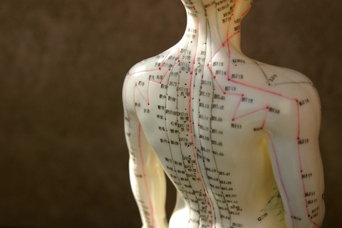 Model of human body with acupuncture points