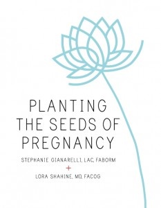 Planting Seeds of Pregnancy