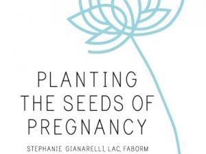Stephanie Gianarelli Speaking at Fertility Conference in Richmond, VA